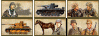 divisions.gif