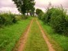 Path.JPG