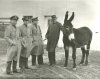 Nationalist Chinese with Army mule.jpg