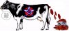 cow.jpg