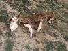 Dry Heat.jpg