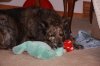 Picture 002.jpg