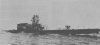 sealion-ii.jpg