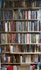 bookcase-stitch2.jpgsmall.jpg