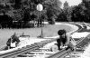 The French Resistance 1944.jpg