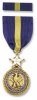 navy_dsm_100.jpg