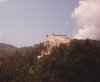 IMG_0003.jpg