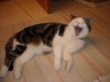 DSCN0418.jpg