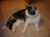 DSCN0419.jpg