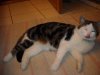 DSCN0420.jpg