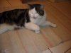 DSCN0421.jpg