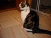 DSCN0423.jpg