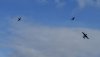 DSC05576.jpg