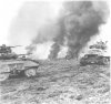 M8 Armored Car and M4 Sherman in combat.jpg