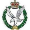 badge.jpg