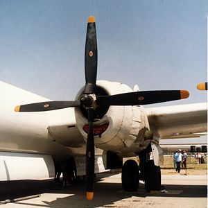 "Fifi" in 1988