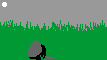 raid