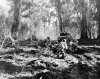 129th_During_Battle_of_Bougainville2.jpg