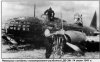 DB-3 fell.jpg