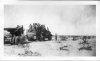 980th FA 1943 maneuvers Calif 7.5 ton w 155mm.jpg