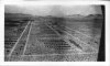 980th FAB 1943 desert training Camp Granite Calif.jpg