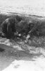 German treating wounded  Belgian solider 1940.jpg