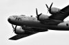 DSC_4135 small.jpg