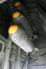 B-17 Bombs.JPG