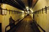 DSC_8182 ww2f resize.jpg