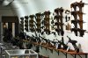 DSC_8236 ww2f resize.jpg