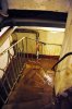 DSC_8265 ww2f resize.jpg