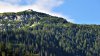 DSC_8729 new ww2f resize.jpg
