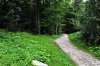 DSC_9913 ww2f resize.jpg