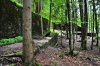 DSC_9880 ww2f resize.jpg