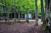 DSC_9024 ww2f resize.jpg