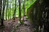 DSC_9868 resize ww2f.jpg