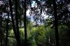 DSC_9022 ww2f resize.jpg
