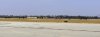 Five P38's medium.JPG