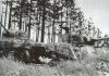 Ruppenvenn Sherman Miller a.png
