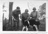 980th FA cow in Europe.jpg