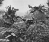 hi tech jap cammo individual.jpg