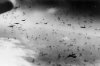 Air War 457th BG Flak.jpg
