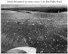 flak13.jpg