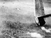 TailFlak.jpg