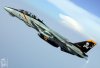 F-14.jpg