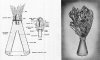 Conical-antitank-hollow-charge-hand-grenade.jpg