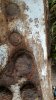 IMG-20170124-WA0018-580x1031.jpeg