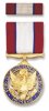 army_dsm_100.jpg