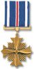 medals_dist_fly_cross_100x200.jpg