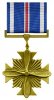 210px-Dfc-usa.jpg